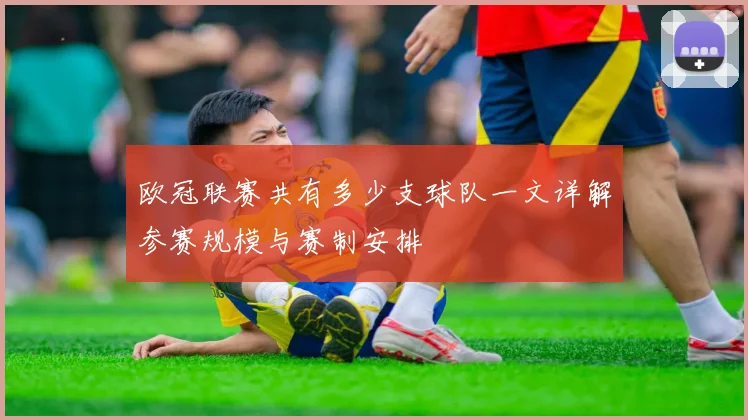 欧冠联赛共有多少支球队一文详解参赛规模与赛制安排
