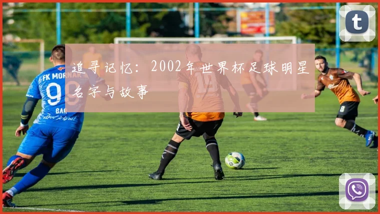 追寻记忆:2002年世界杯足球明星名字与故事