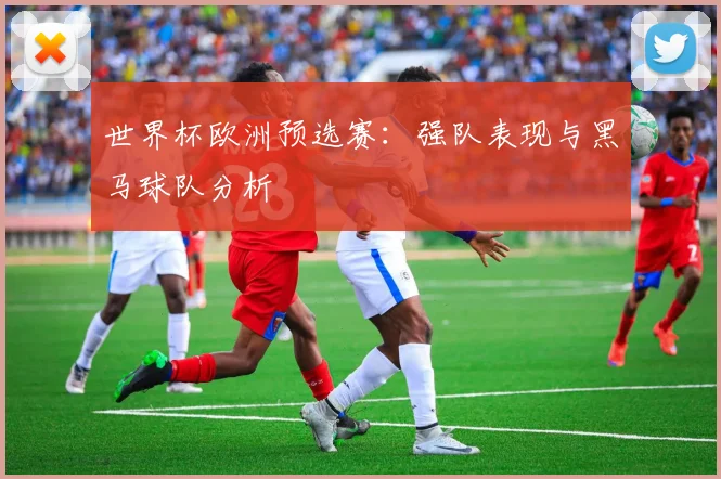 世界杯欧洲预选赛:强队表现与黑马球队分析