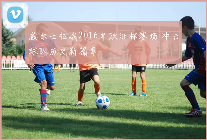 威尔士征战2016年欧洲杯赛场 冲击球队历史新篇章