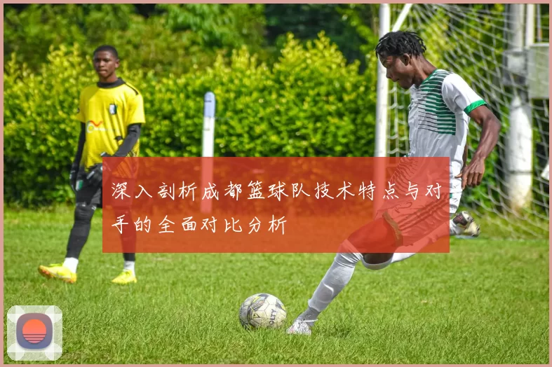 深入剖析成都篮球队技术特点与对手的全面对比分析
