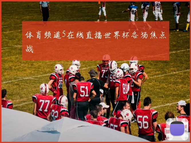 体育频道5在线直播世界杯各场焦点战