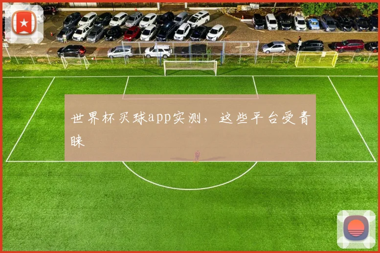 世界杯买球app实测，这些平台受青睐