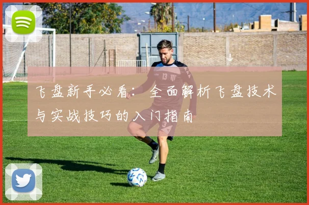 飞盘新手必看：全面解析飞盘技术与实战技巧的入门指南