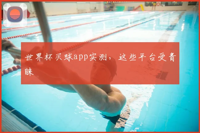 世界杯买球app实测,这些平台受青睐