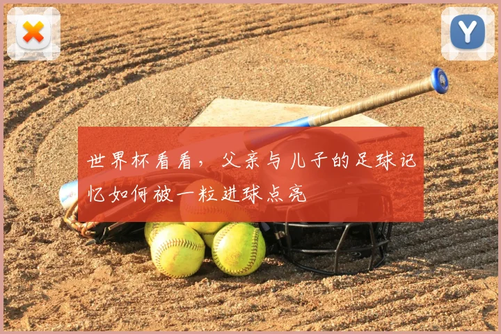世界杯看看,父亲与儿子的足球记忆如何被一粒进球点亮