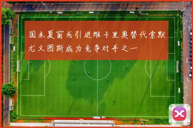 国米夏窗或引进维卡里奥替代索默尤文图斯成为竞争对手之一