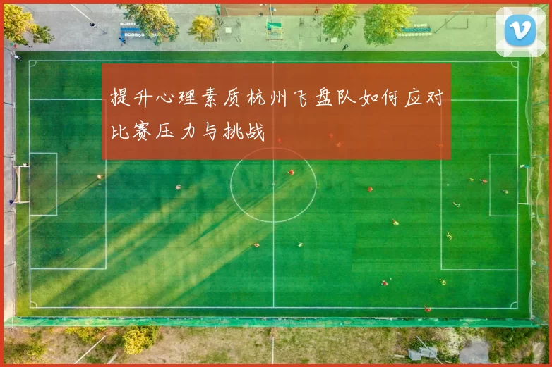 提升心理素质杭州飞盘队如何应对比赛压力与挑战