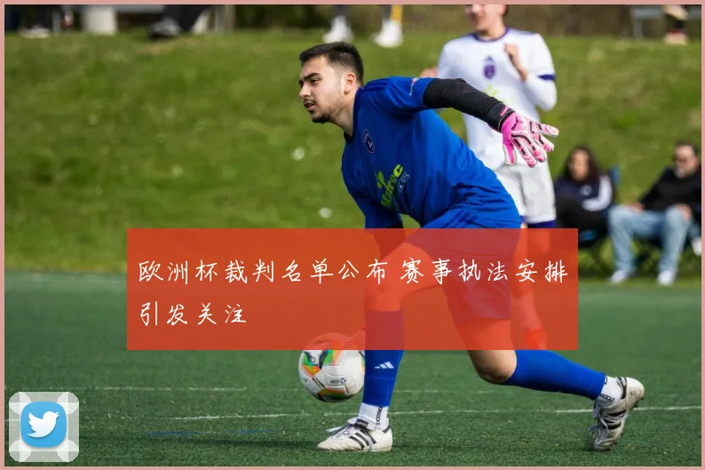 欧洲杯裁判名单公布 赛事执法安排引发关注