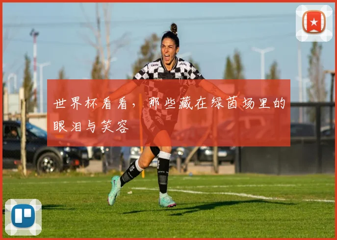世界杯看看,那些藏在绿茵场里的眼泪与笑容