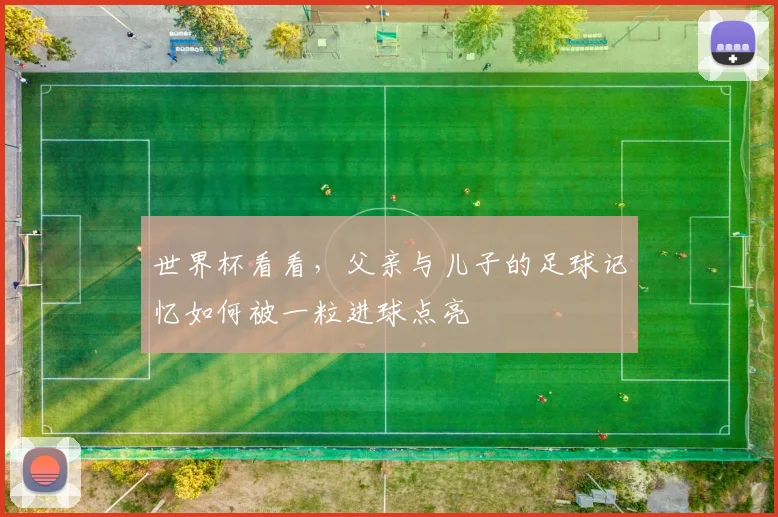 世界杯看看,父亲与儿子的足球记忆如何被一粒进球点亮
