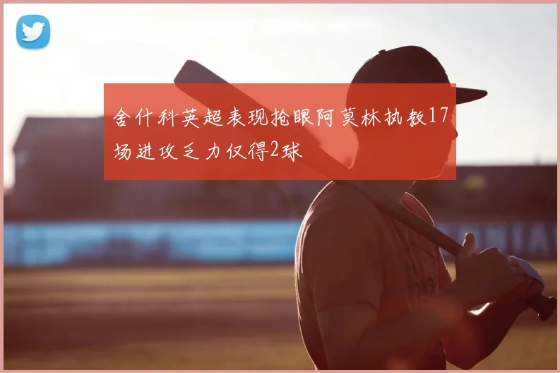 舍什科英超表现抢眼阿莫林执教17场进攻乏力仅得2球